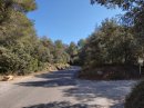 Vidauque, entrée en forêt du Lubéron